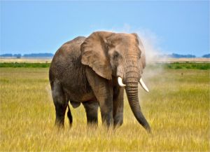 DSC_0077 - Version 2