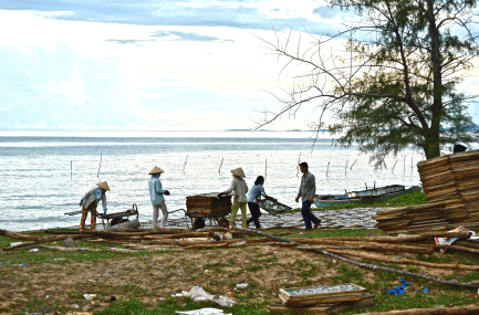 Working at drying fish...