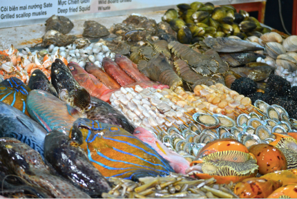 Spoilt for fish choice...