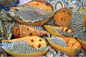 Did I dare to eat these ? ....not this time, check out Borneo 2 years on ..