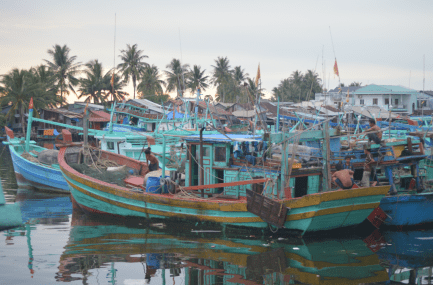 The fleet in Duong Dong harbour...
