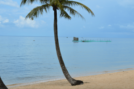 View from the coffeeshop, beats Starbucks any day ....