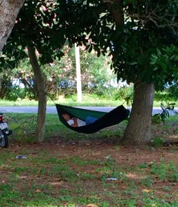 Hammocks are useful....