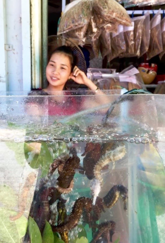 12193372_10153722939204451_2268726853457009664_n